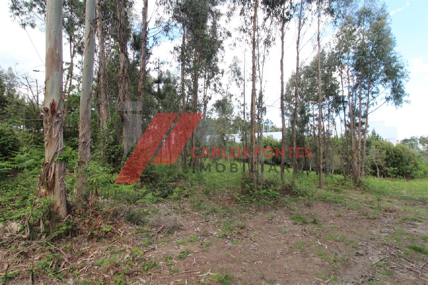  te koop terrein Cruz Cabeceiras De Basto 8