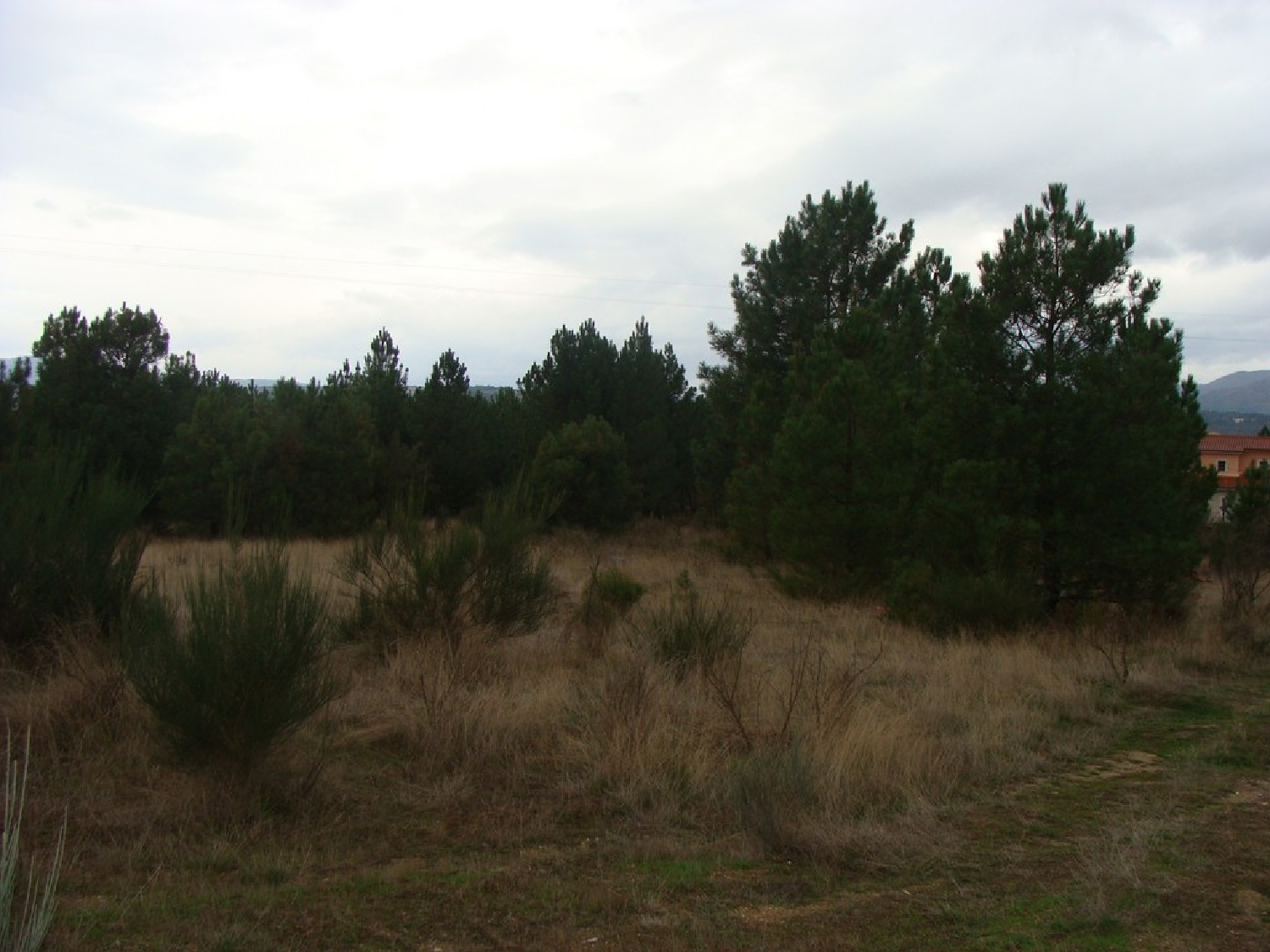  à vendre terrain Cruz Alijó 1