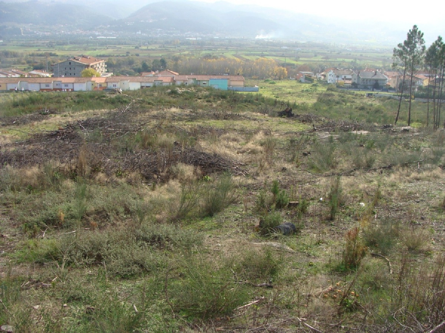  à vendre terrain Cruz Alijó 1