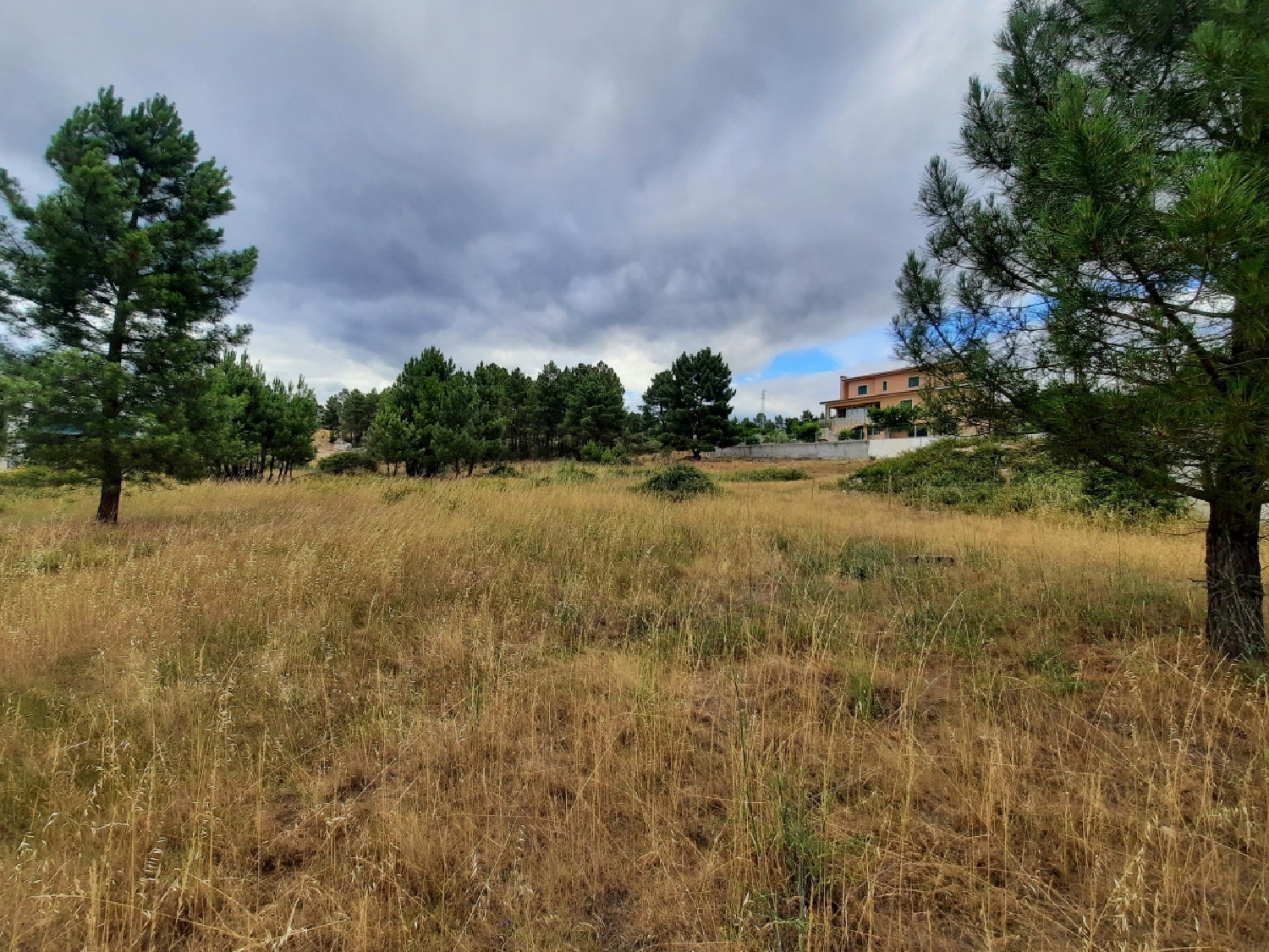  à vendre terrain Cruz Alijó 1