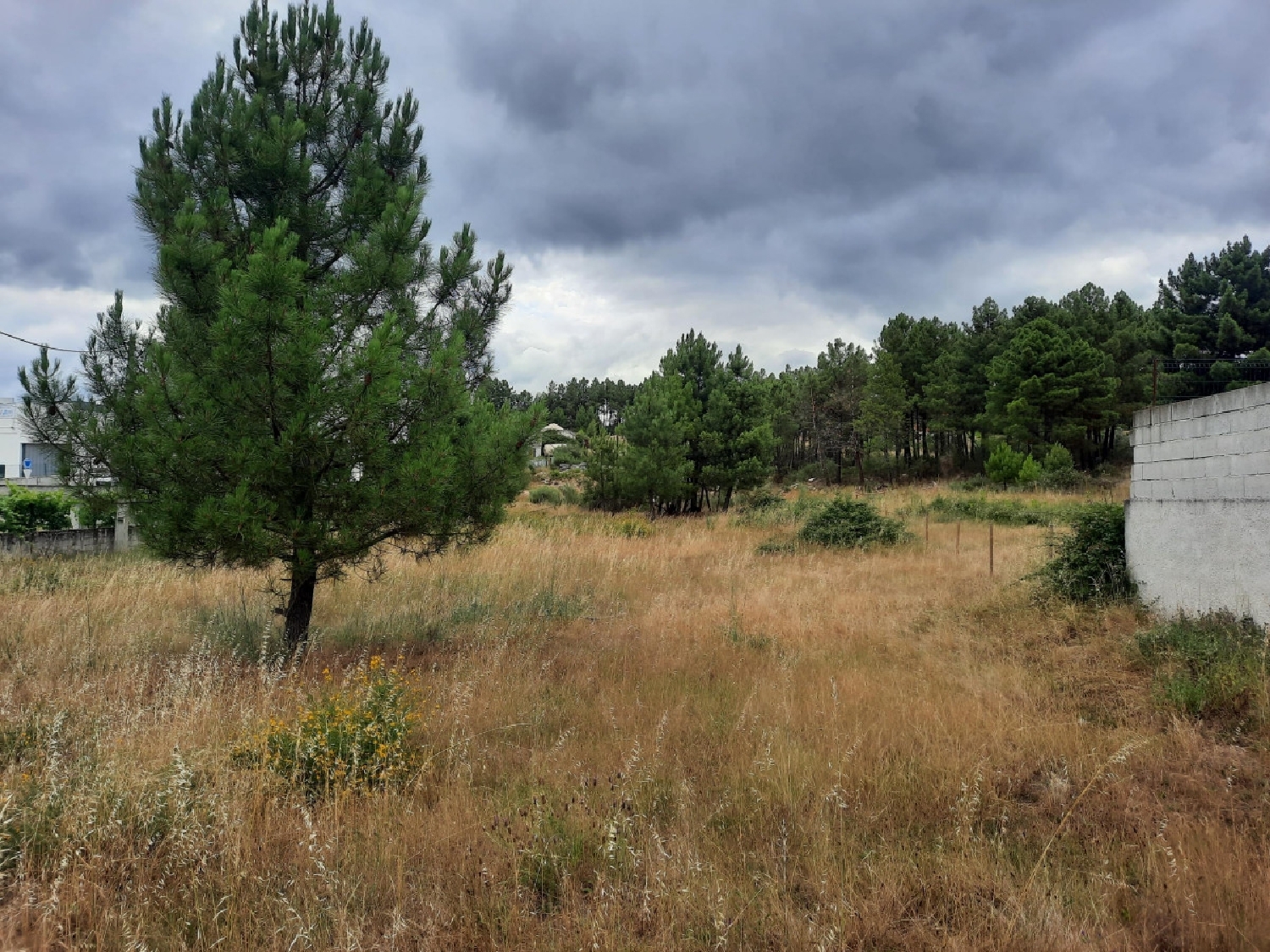 à vendre terrain Cruz Alijó 2