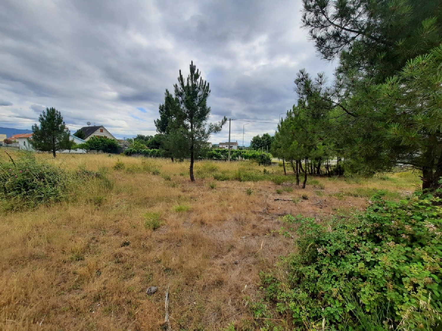 à vendre terrain Cruz Alijó 3