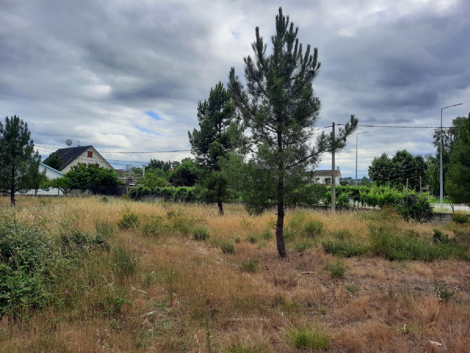  à vendre terrain Cruz Alijó 4