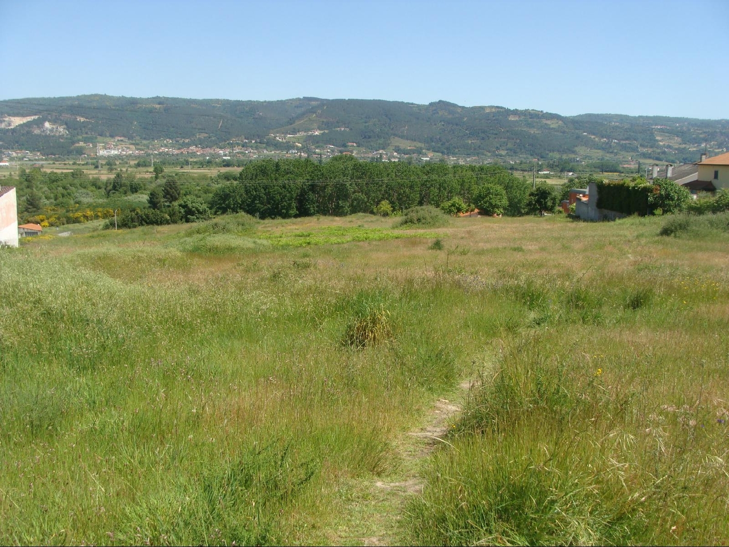  à vendre terrain Cruz Alijó 1