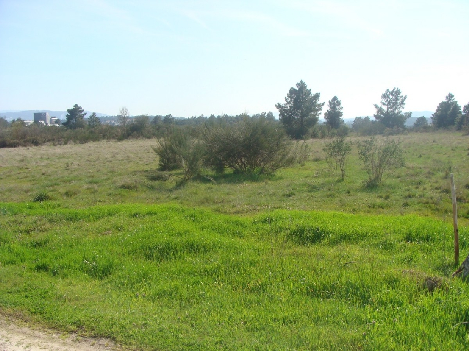  à vendre terrain Cruz Alijó 1