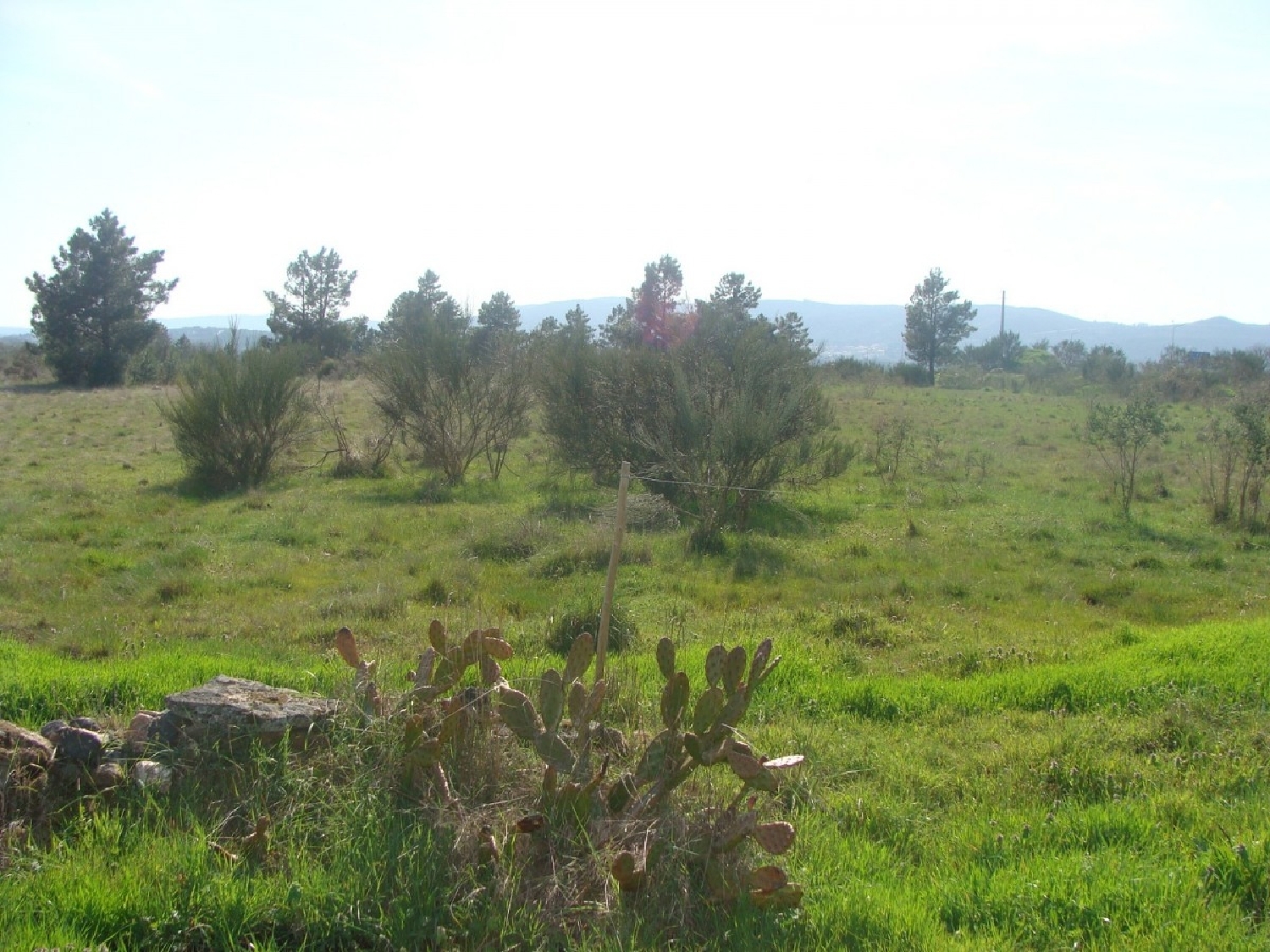 à vendre terrain Cruz Alijó 2