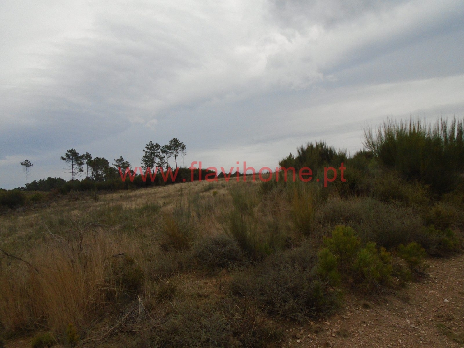  te koop terrein Curalha Chaves 6
