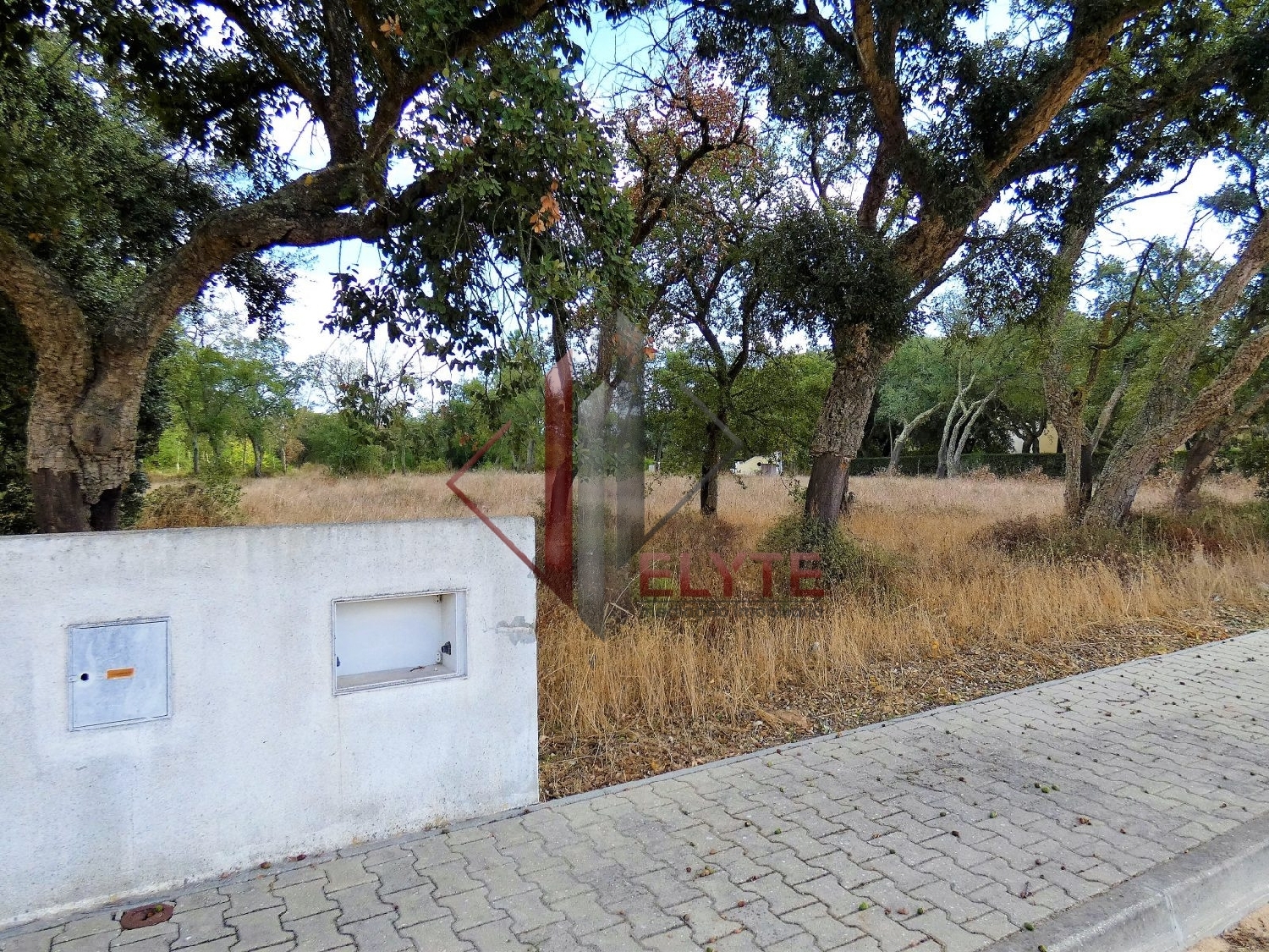  for sale terrain Erra Coruche 1