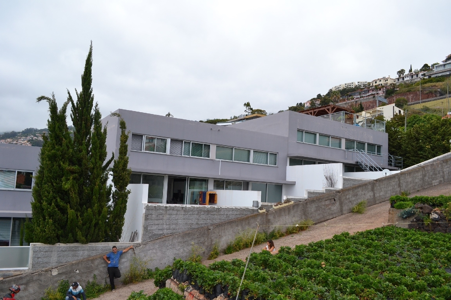  for sale terrain Funchal Funchal 4