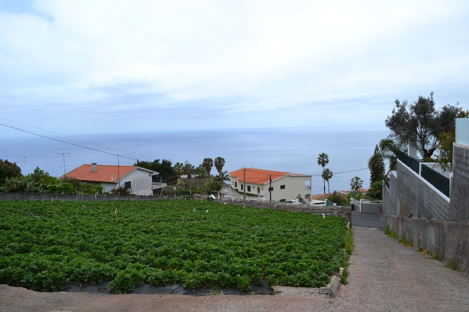  for sale terrain Funchal Funchal 7