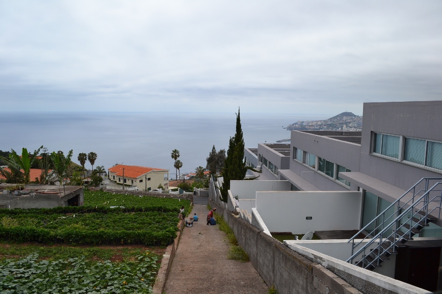  for sale terrain Funchal Funchal 8