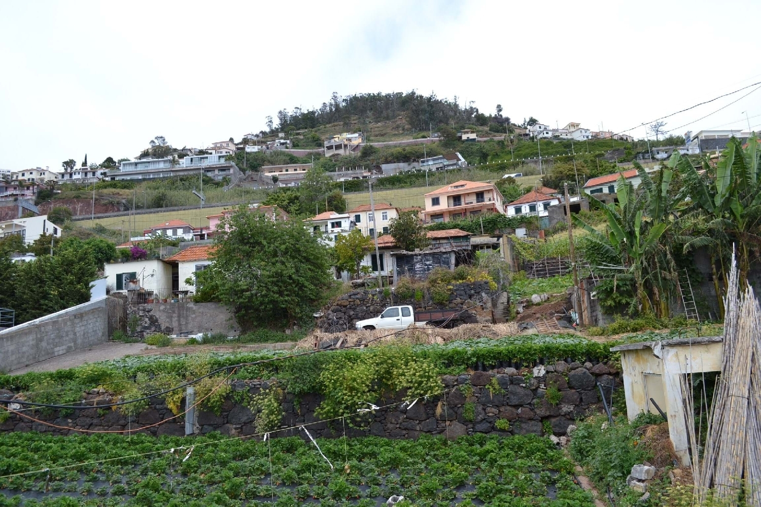  for sale terrain Funchal Funchal 5