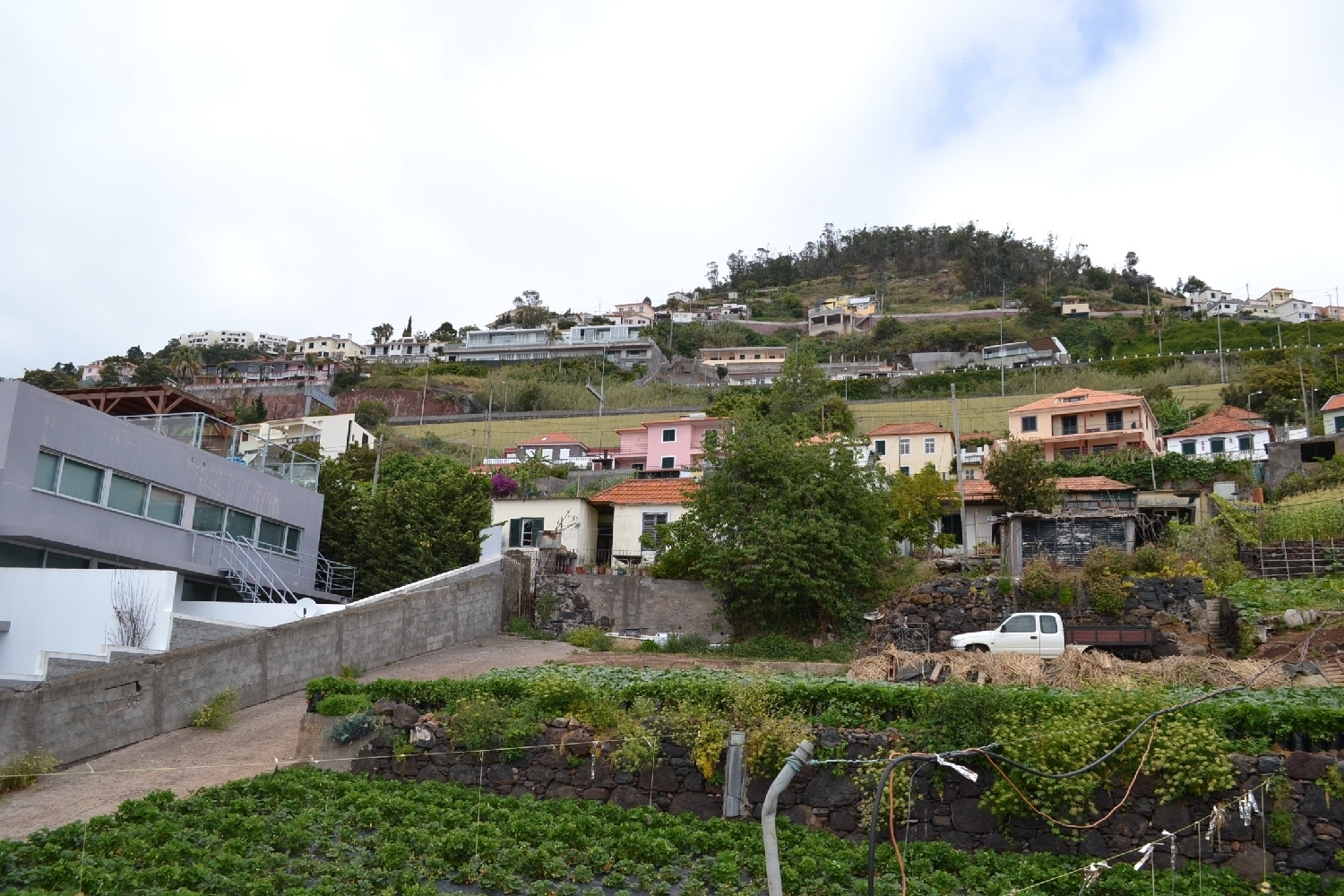  for sale terrain Funchal Funchal 8