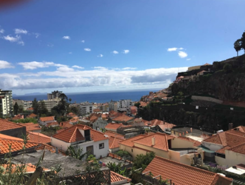 Funchal Funchal terrein foto 334267