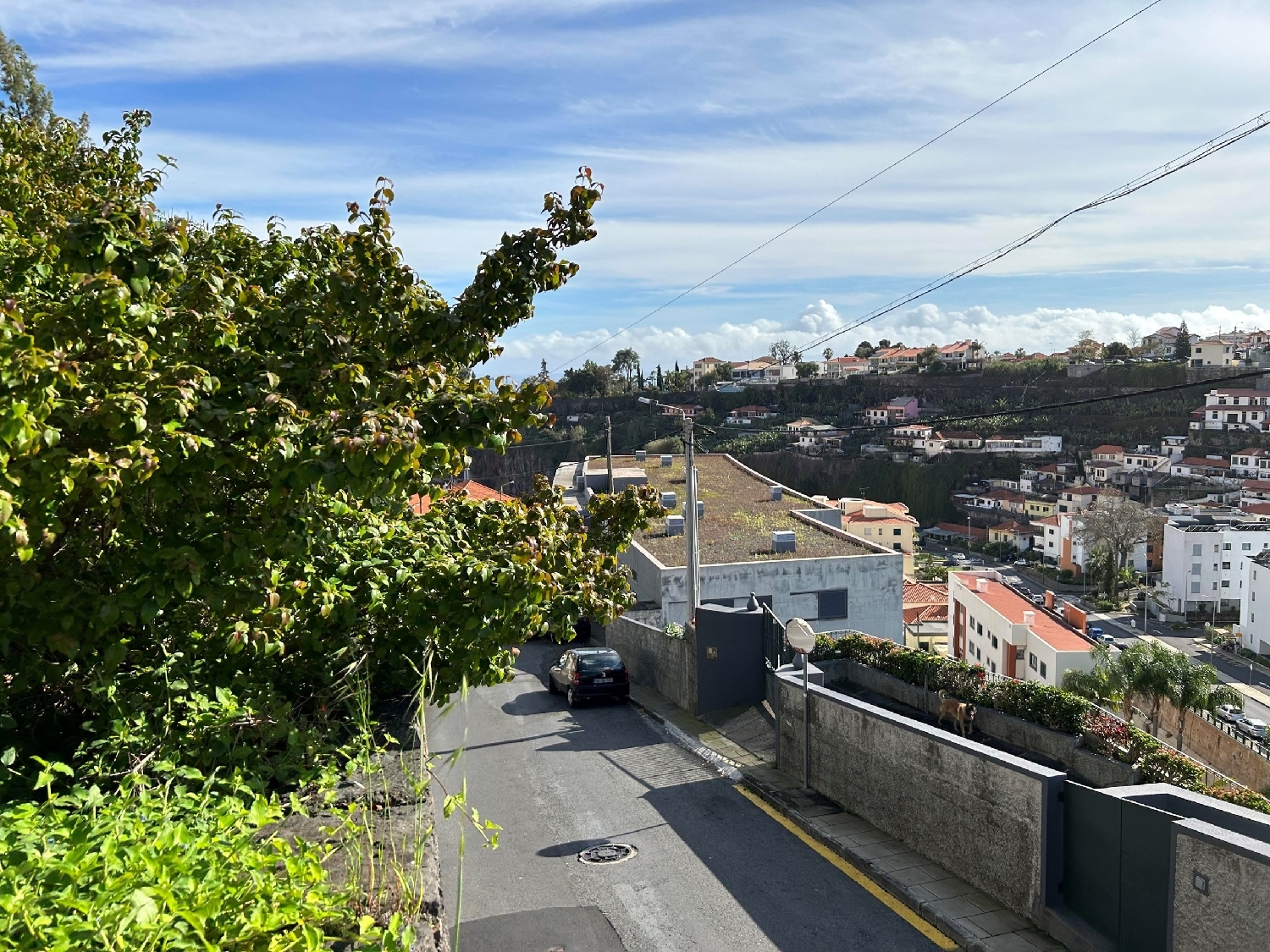  te koop terrein Funchal Funchal 1