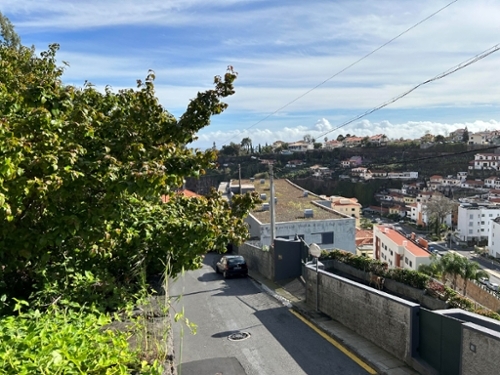 Funchal Funchal terrein foto 334271