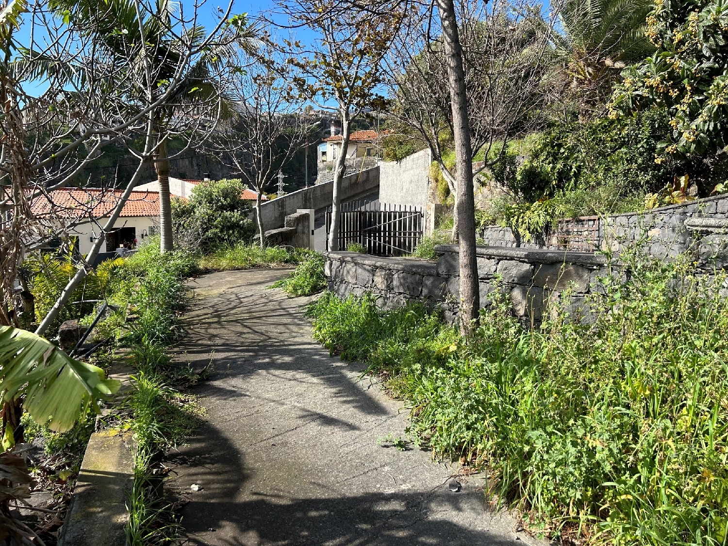  te koop terrein Funchal Funchal 8