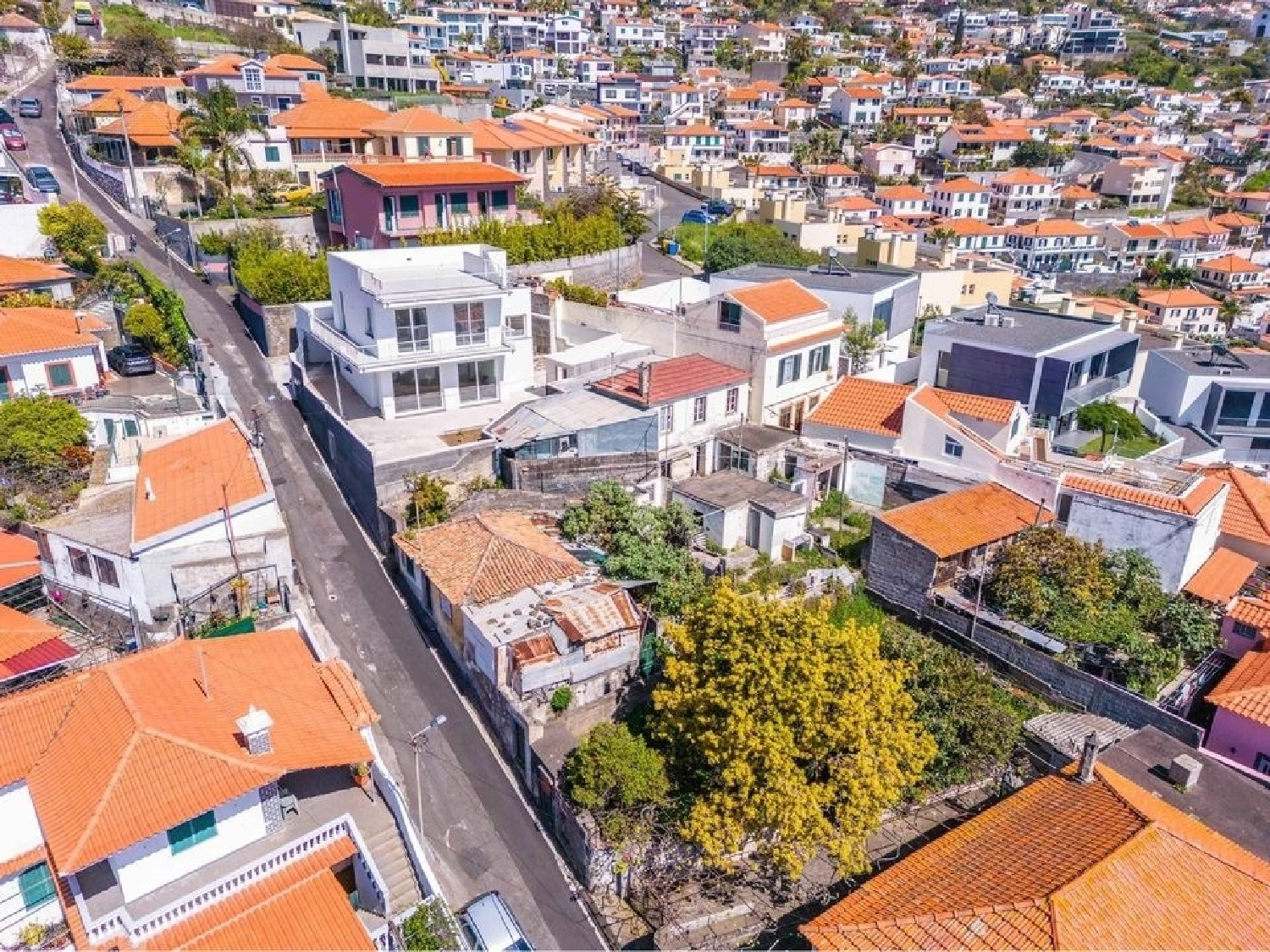  te koop terrein Funchal Funchal 8