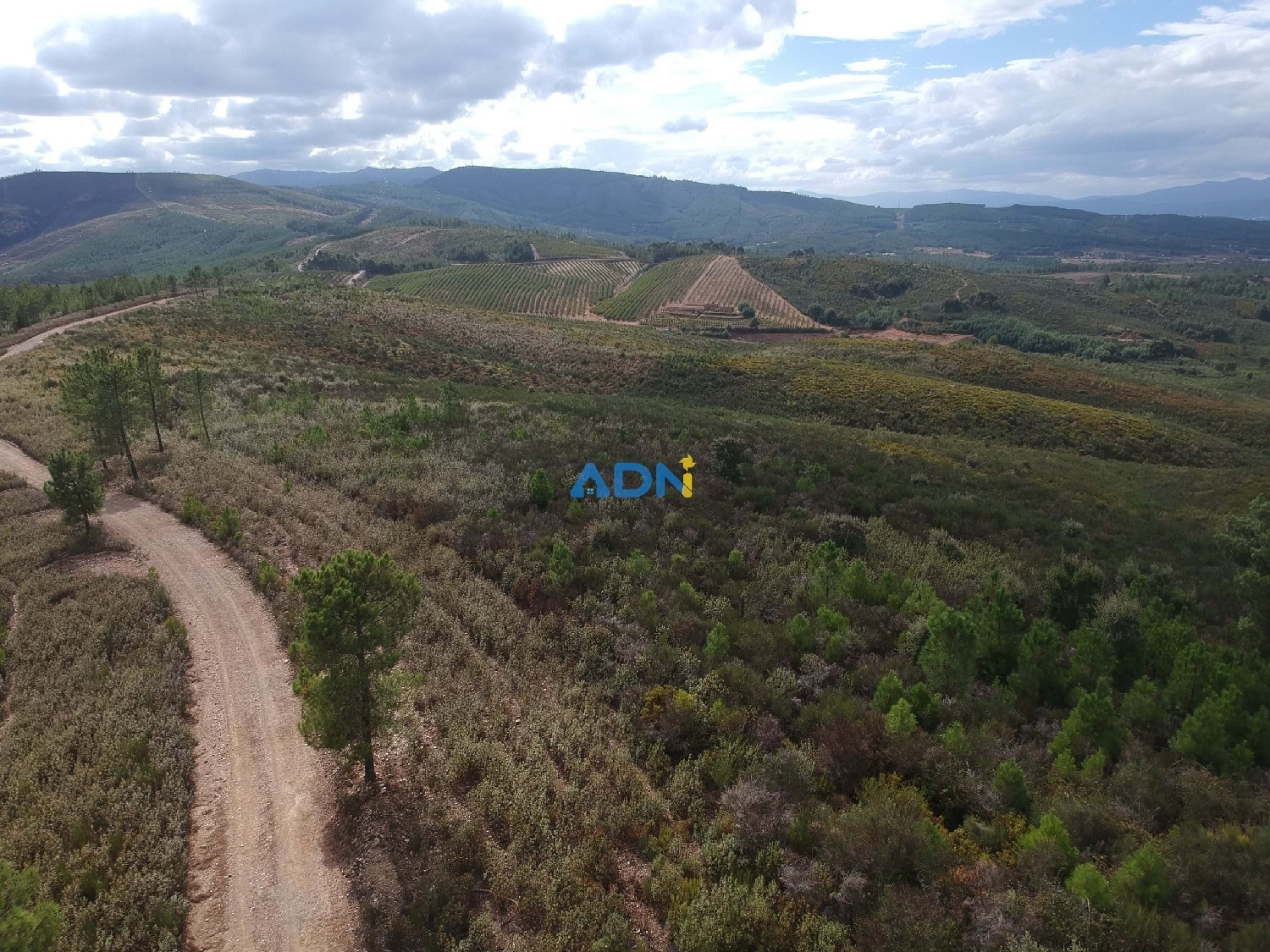 à vendre terrain Fundão Fundão 1