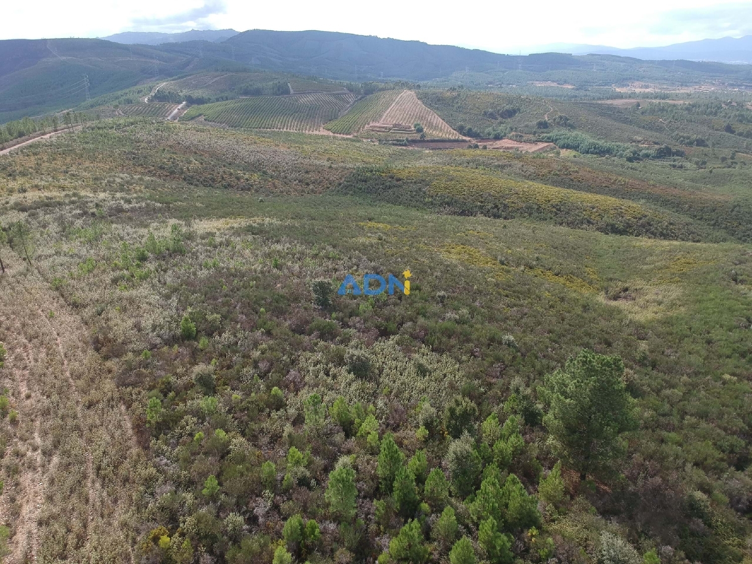  à vendre terrain Fundão Fundão 3