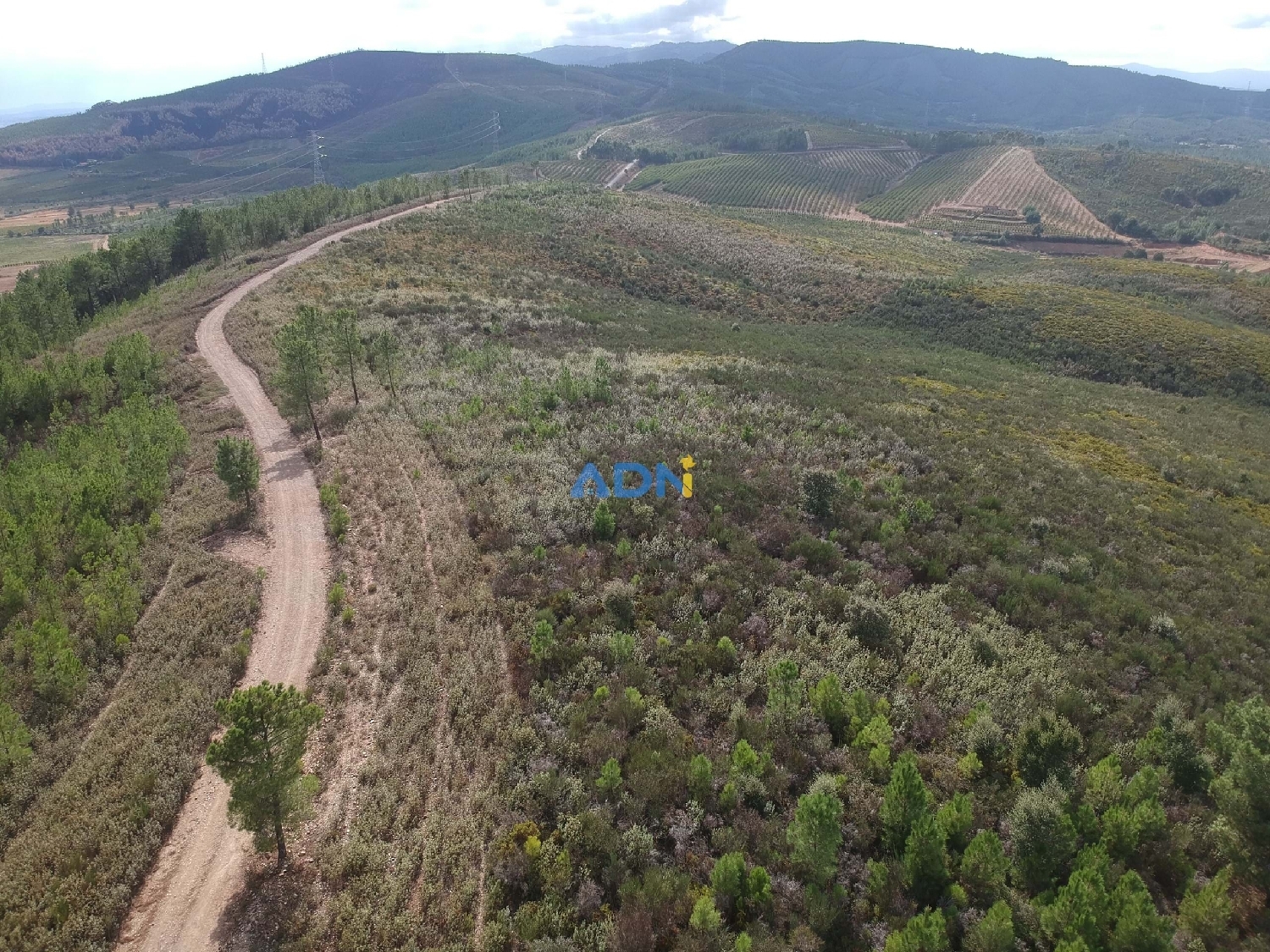  à vendre terrain Fundão Fundão 4