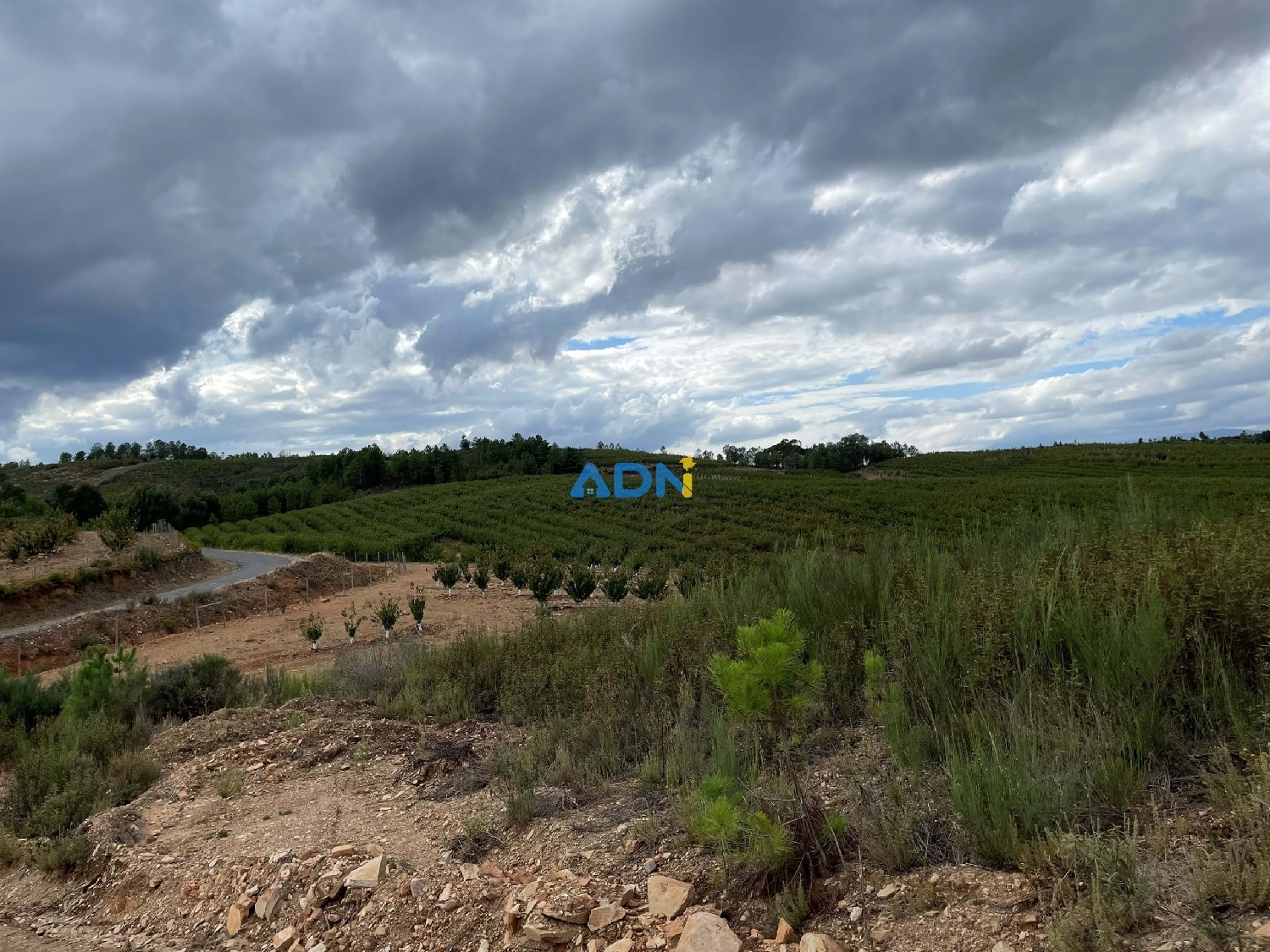  à vendre terrain Fundão Fundão 5