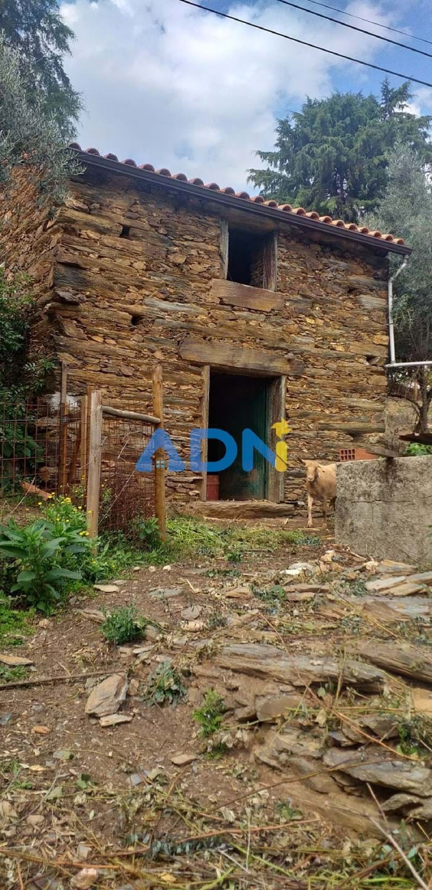  à vendre terrain Fundão Fundão 2