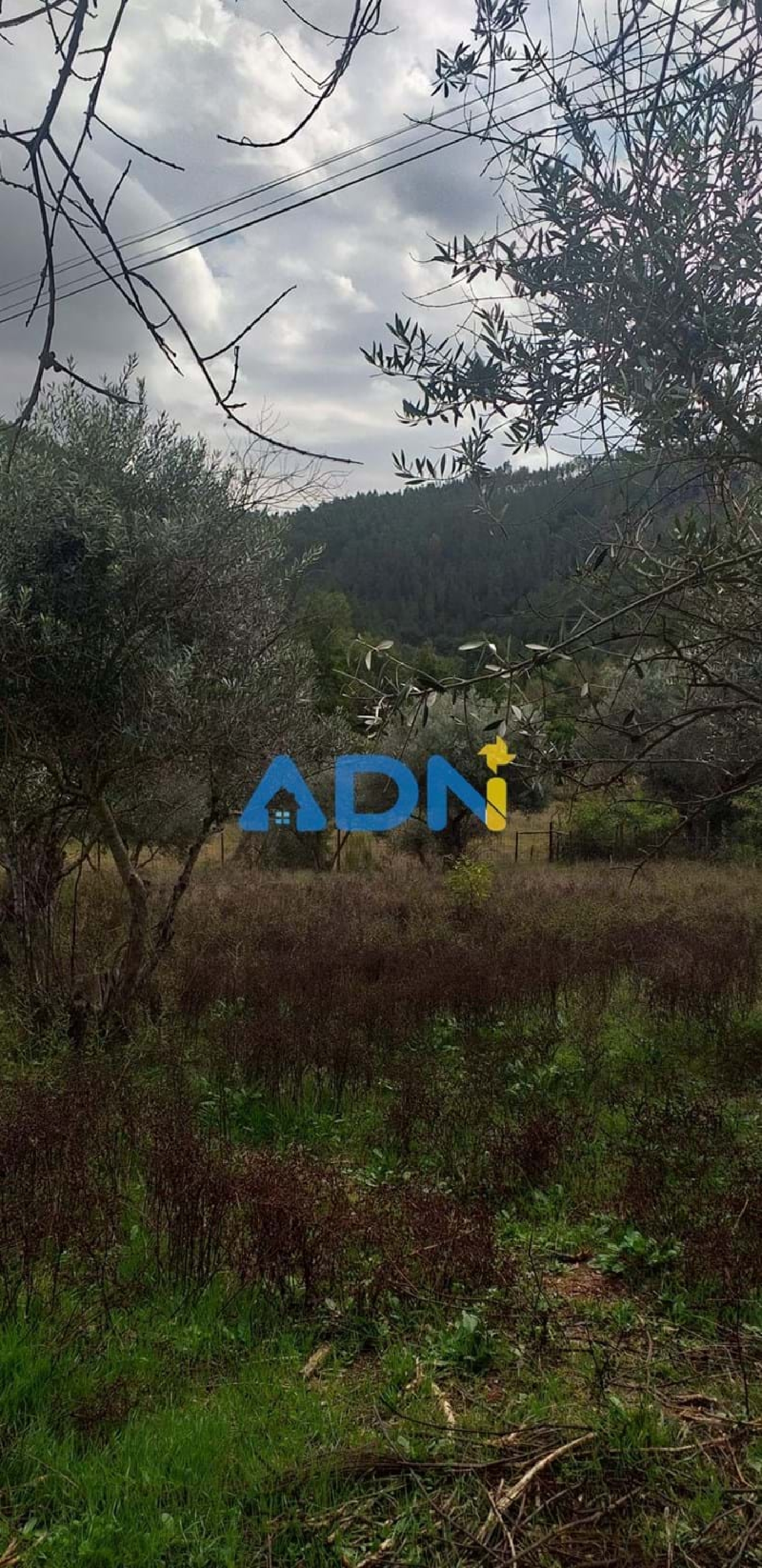  à vendre terrain Fundão Fundão 3