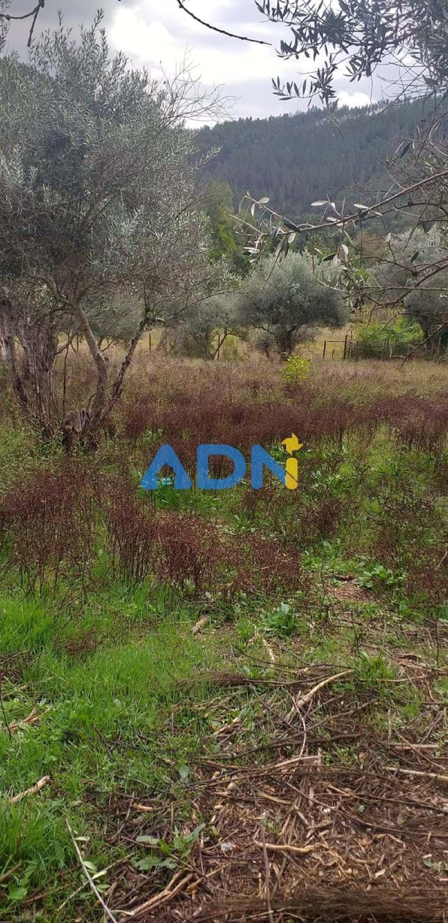  à vendre terrain Fundão Fundão 5