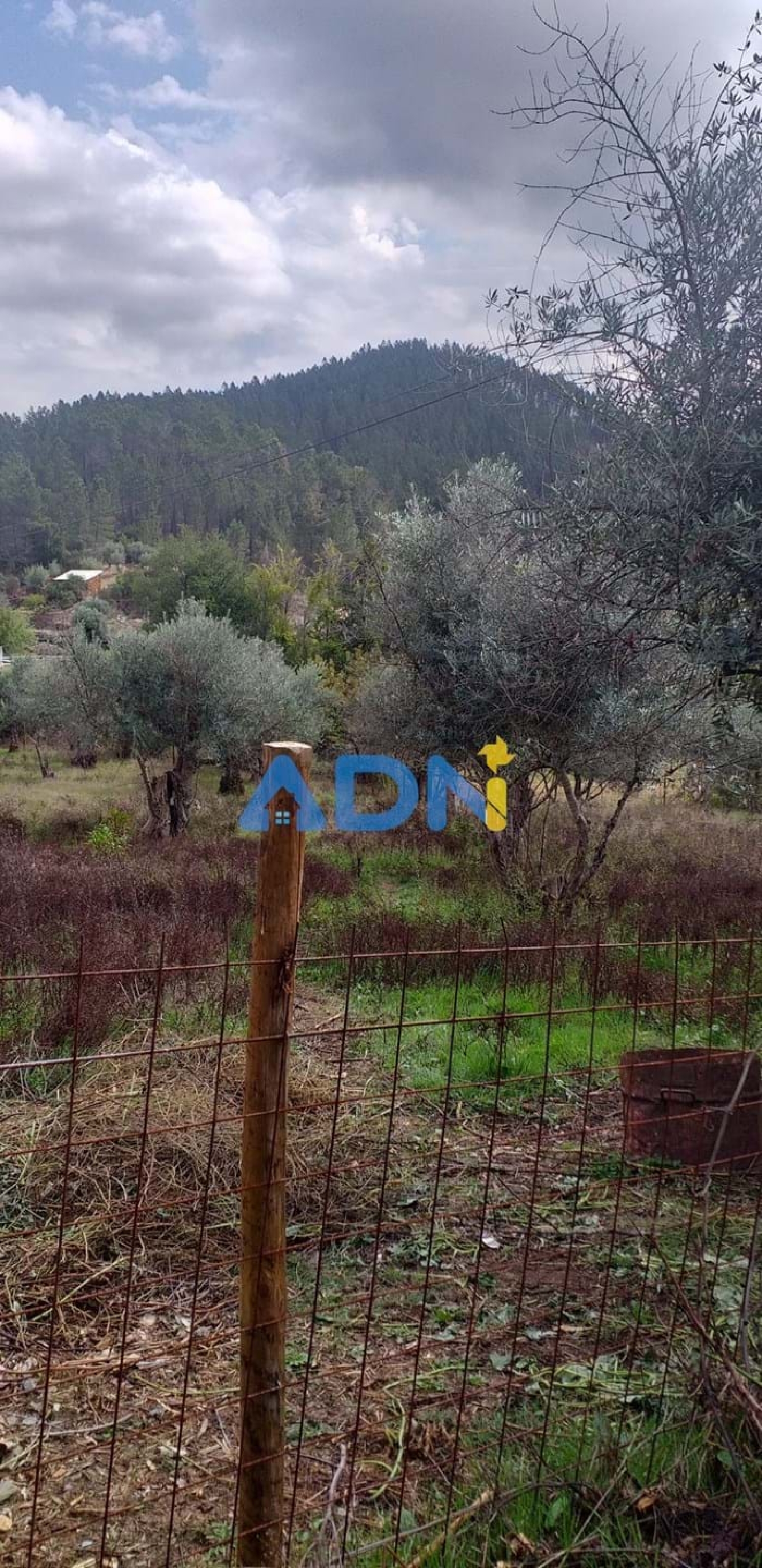  à vendre terrain Fundão Fundão 7