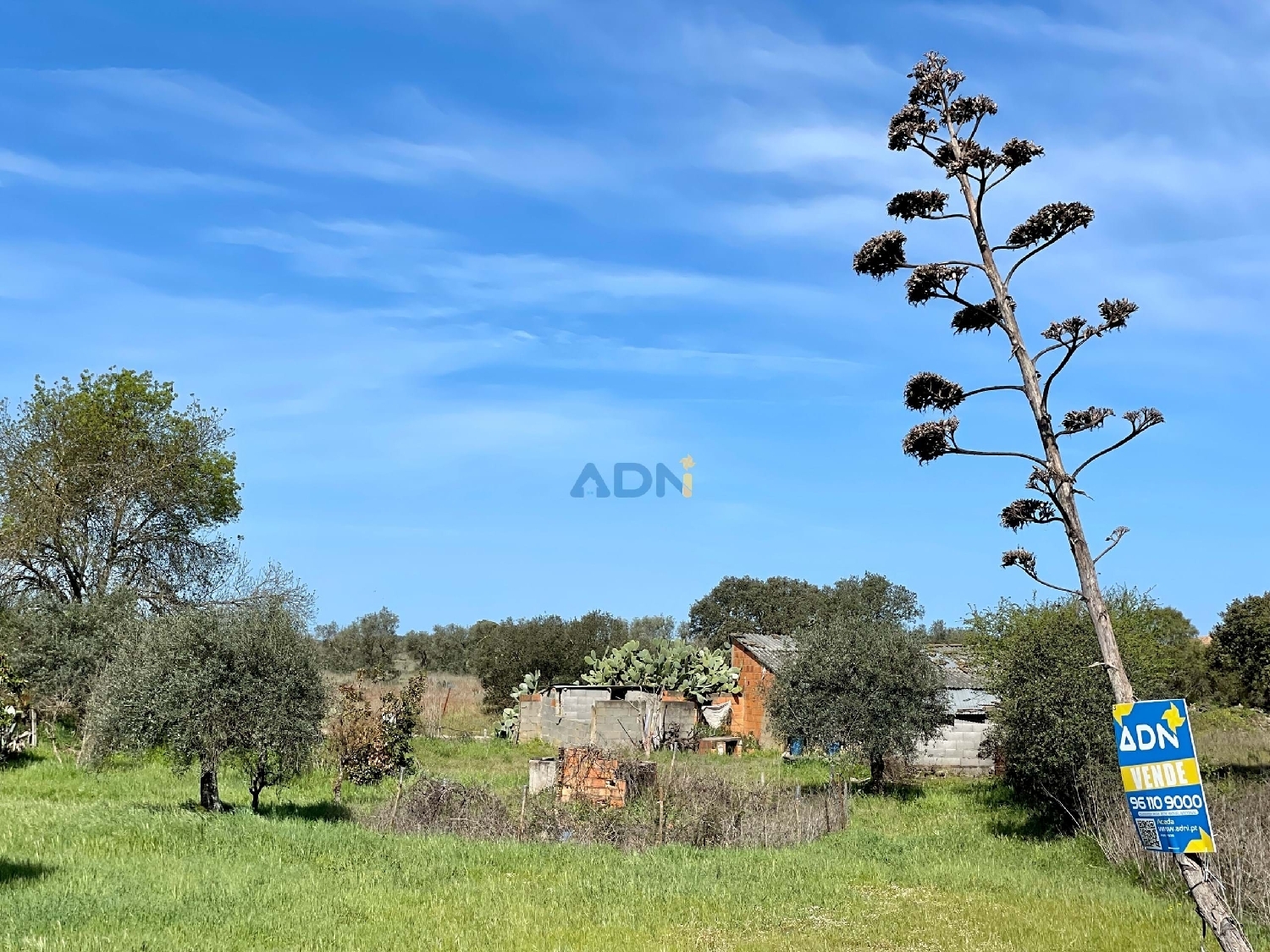  te koop terrein Idanha-A-Nova Idanha-A-Nova 3