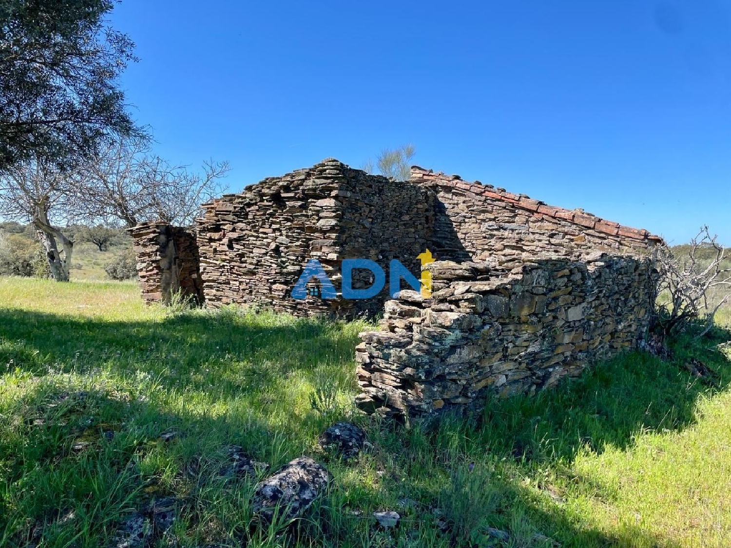  en venta terreno Idanha-A-Nova Idanha-A-Nova 2