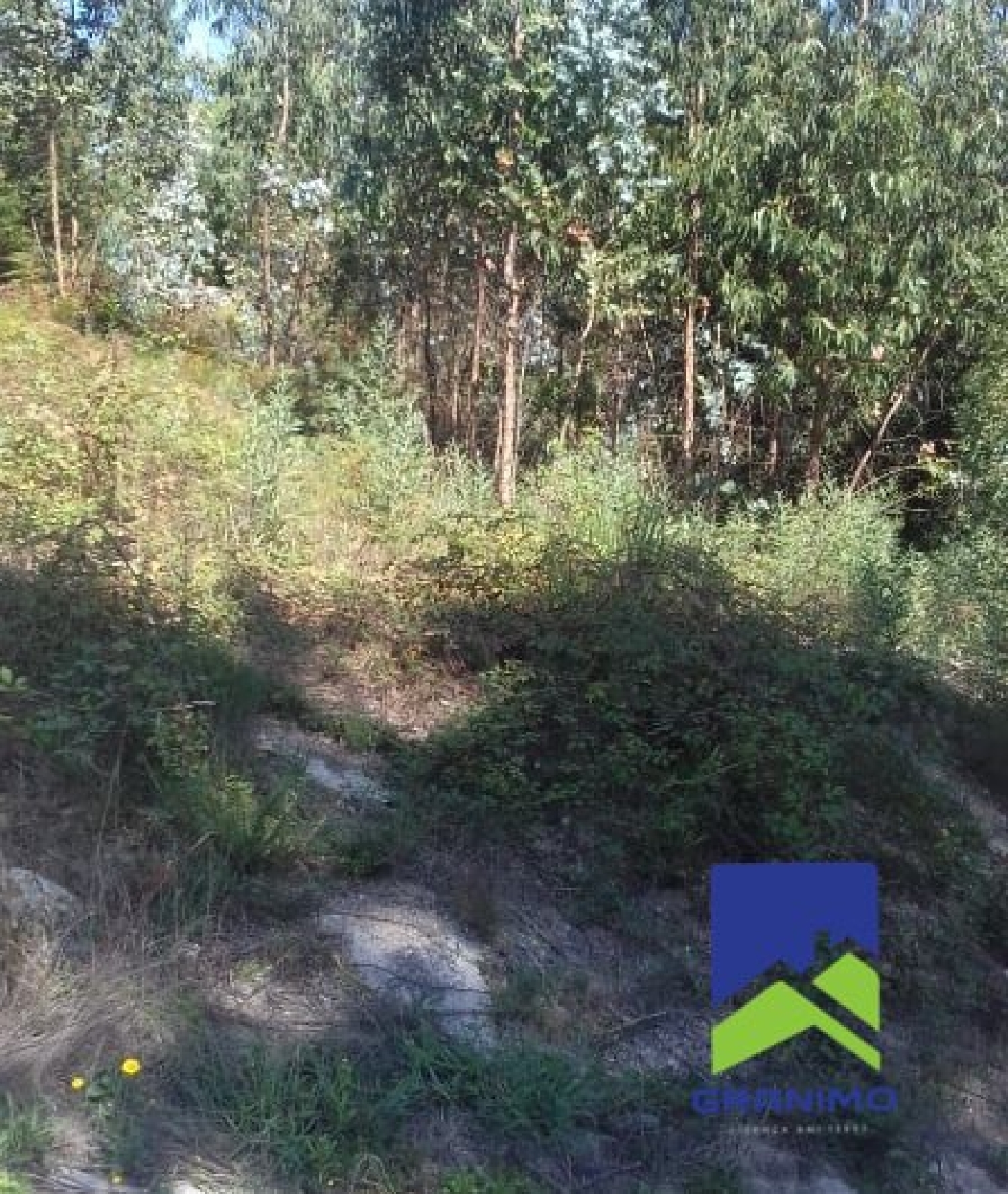 kaufen Grundstück Lordelo Felgueiras 2