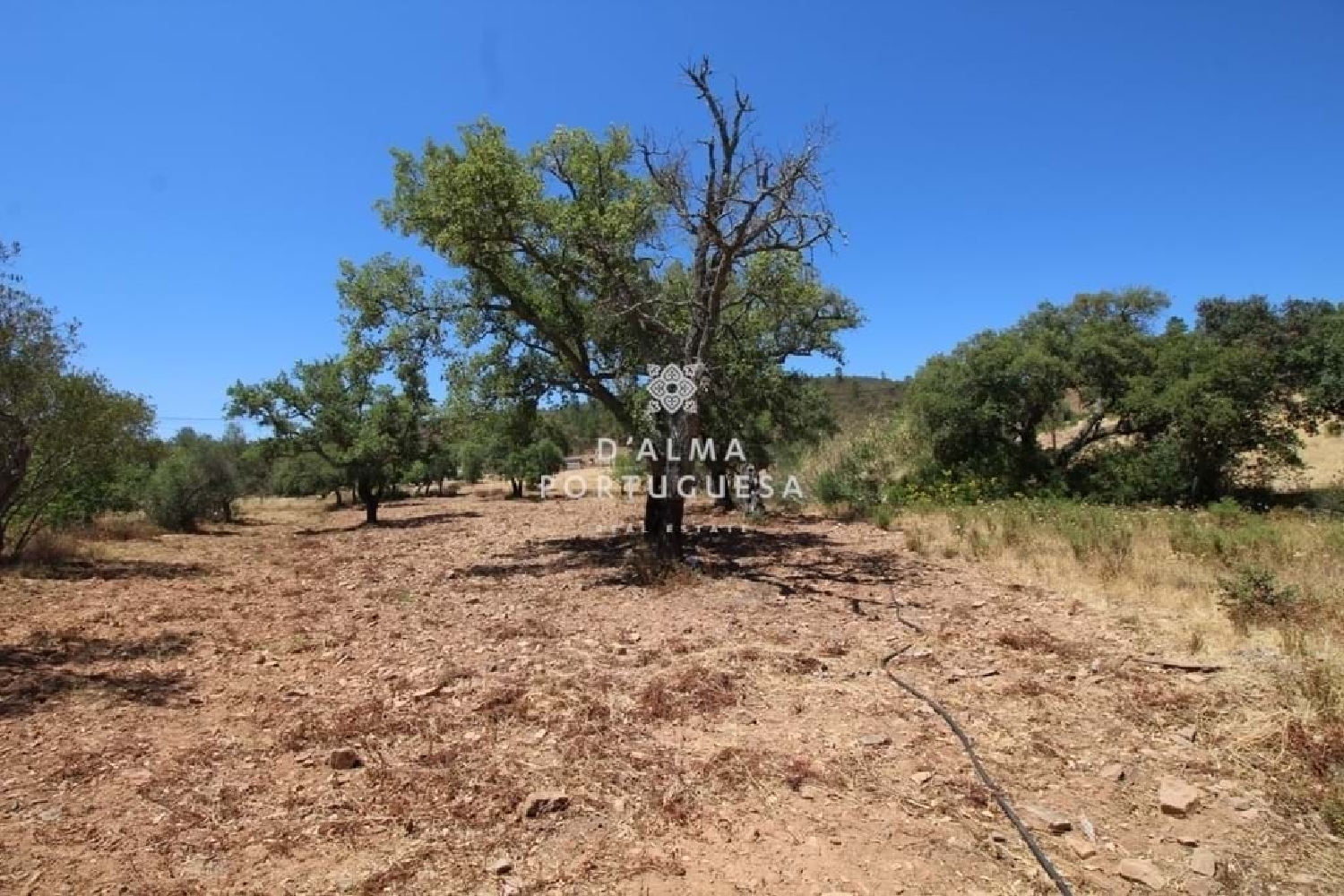  te koop terrein Loulé Loulé 4