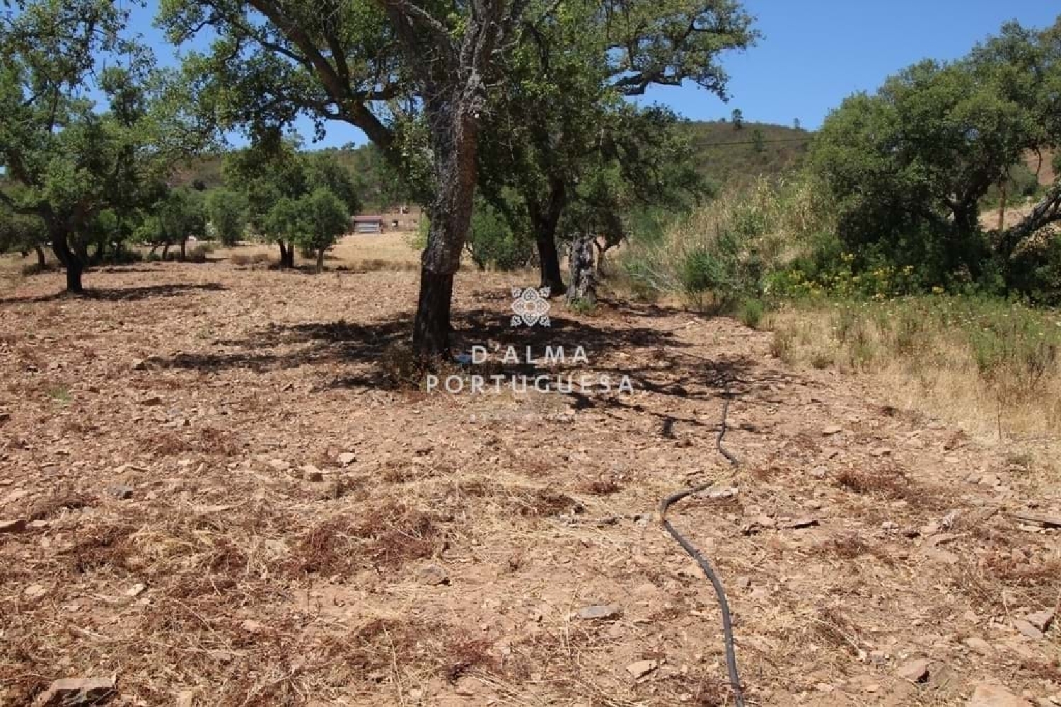  te koop terrein Loulé Loulé 5