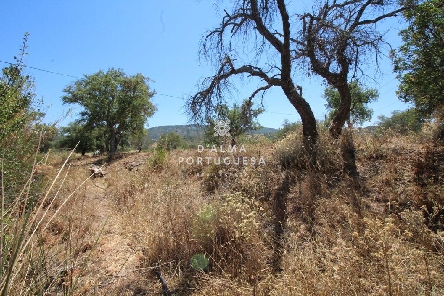  te koop terrein Loulé Loulé 6