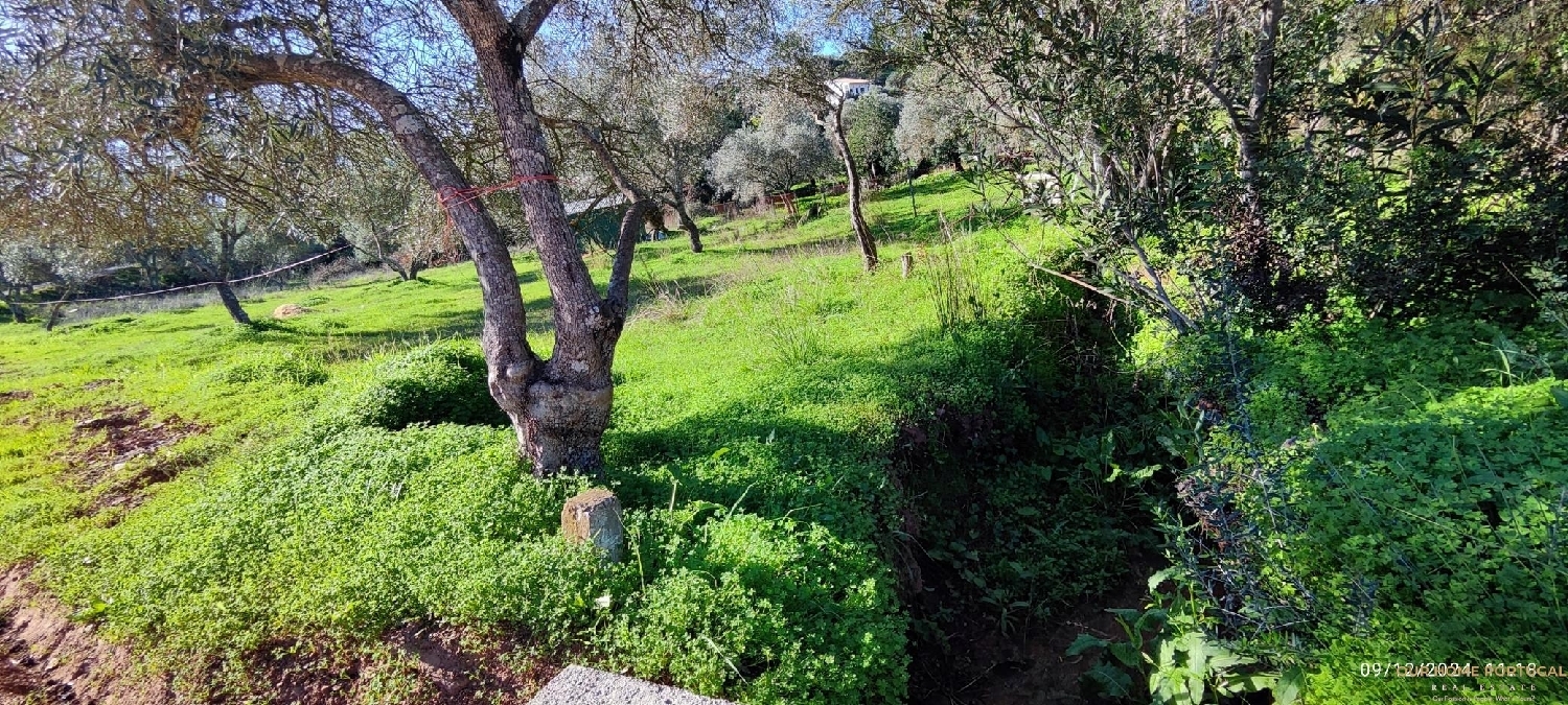  à vendre terrain Loulé Loulé 3