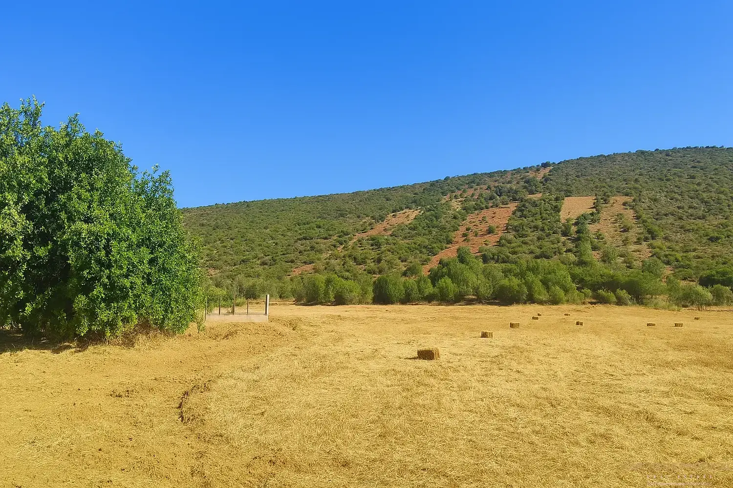  en venta terreno Loulé Loulé 1