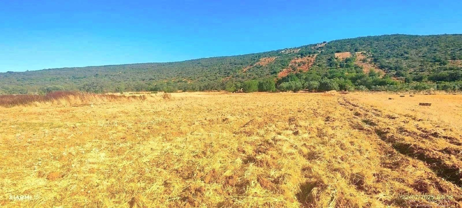  en venta terreno Loulé Loulé 3