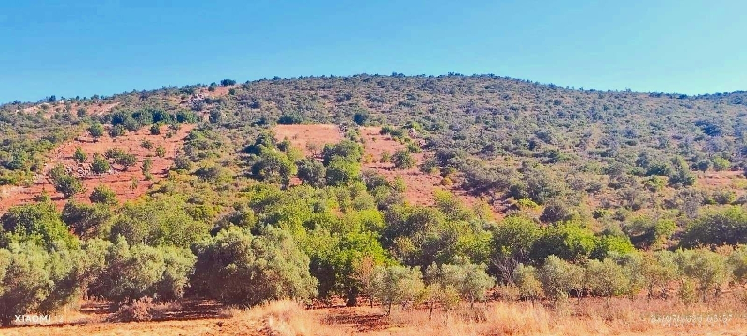  en venta terreno Loulé Loulé 4
