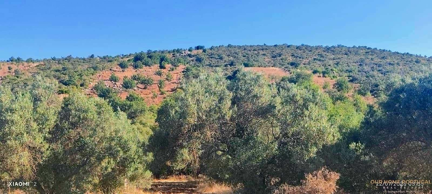  en venta terreno Loulé Loulé 5