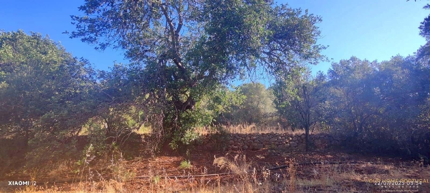  en venta terreno Loulé Loulé 6