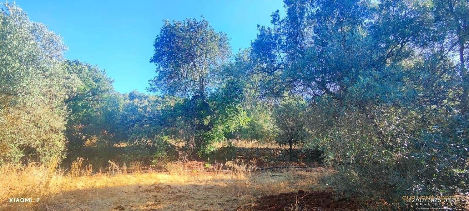  en venta terreno Loulé Loulé 7