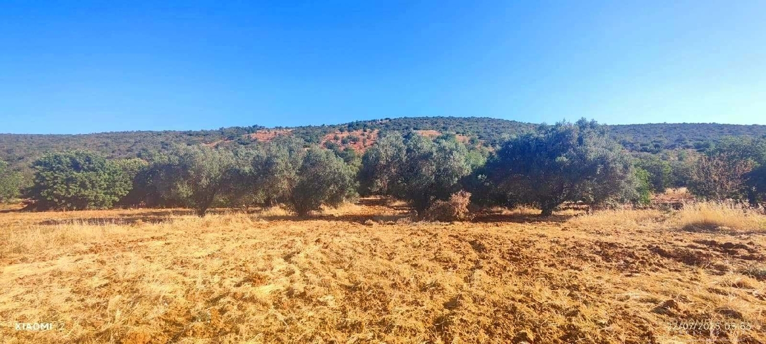  en venta terreno Loulé Loulé 8