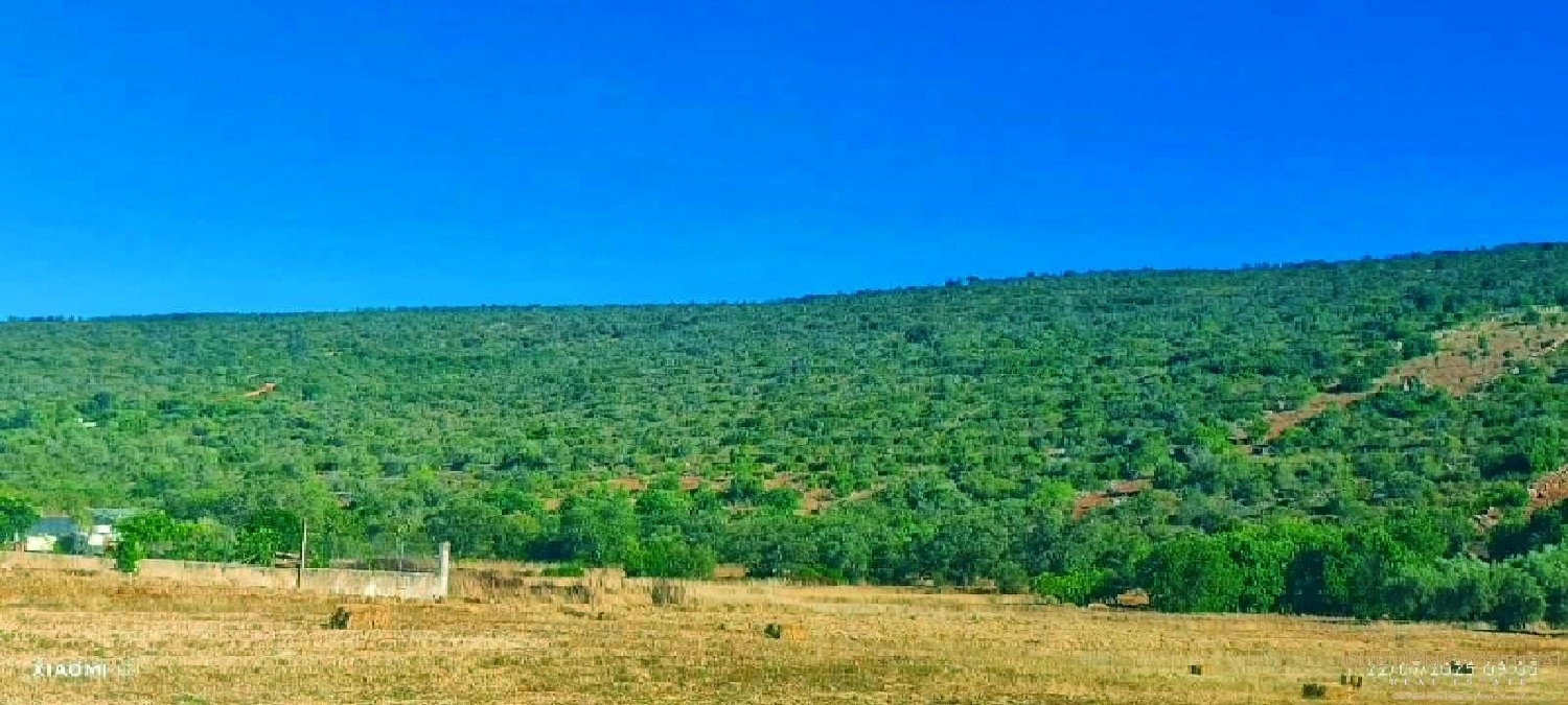  köpa tomt Loulé Loulé 2