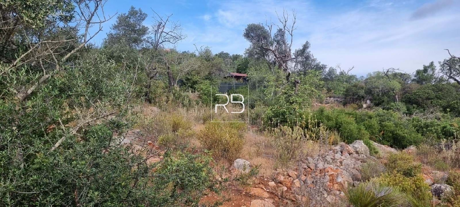  te koop terrein Loulé Loulé 2