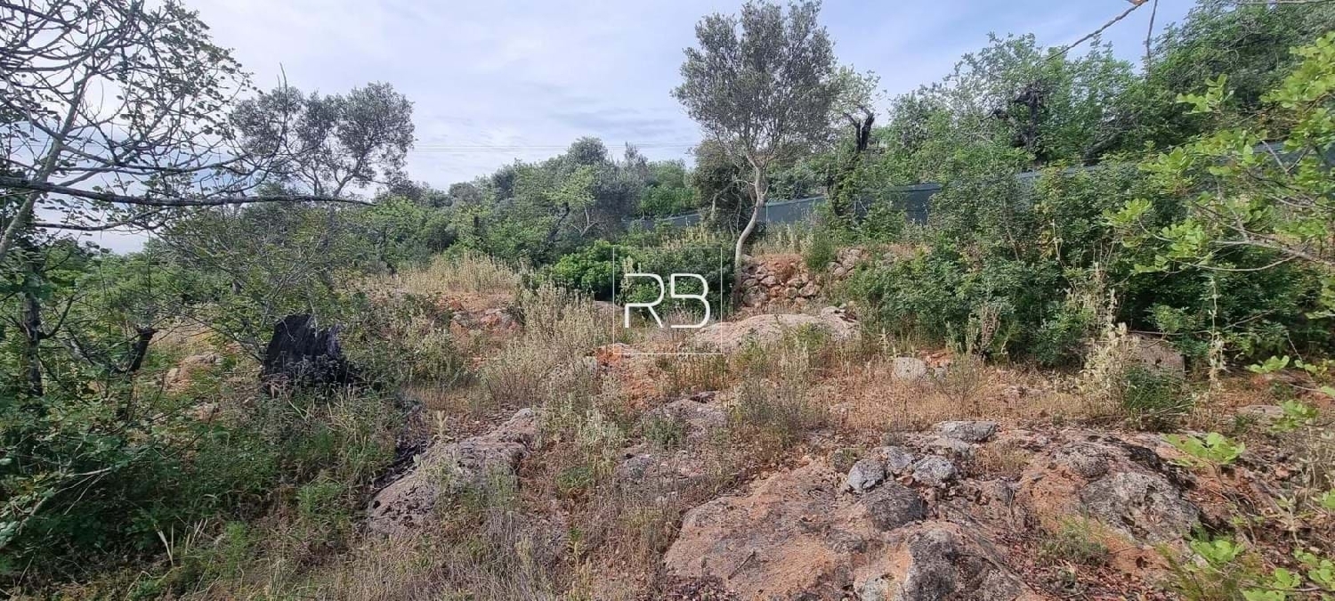  te koop terrein Loulé Loulé 3