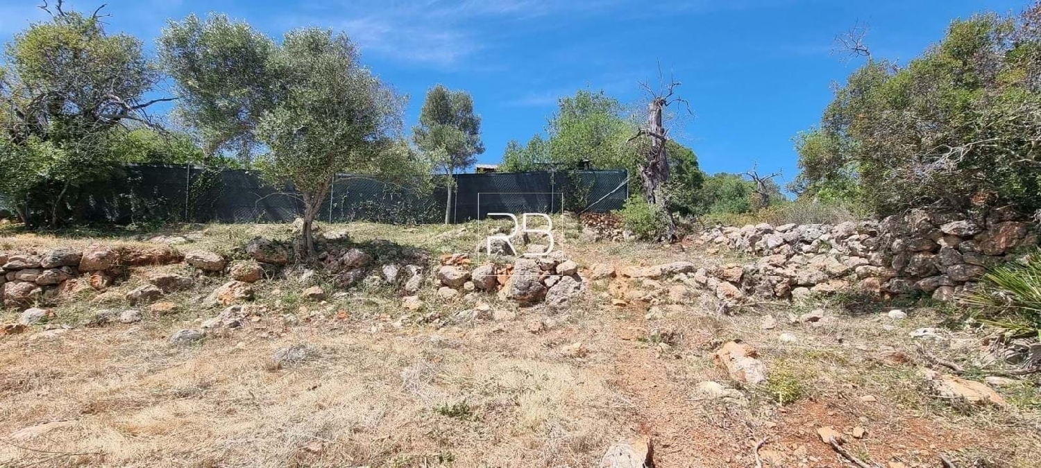  te koop terrein Loulé Loulé 7