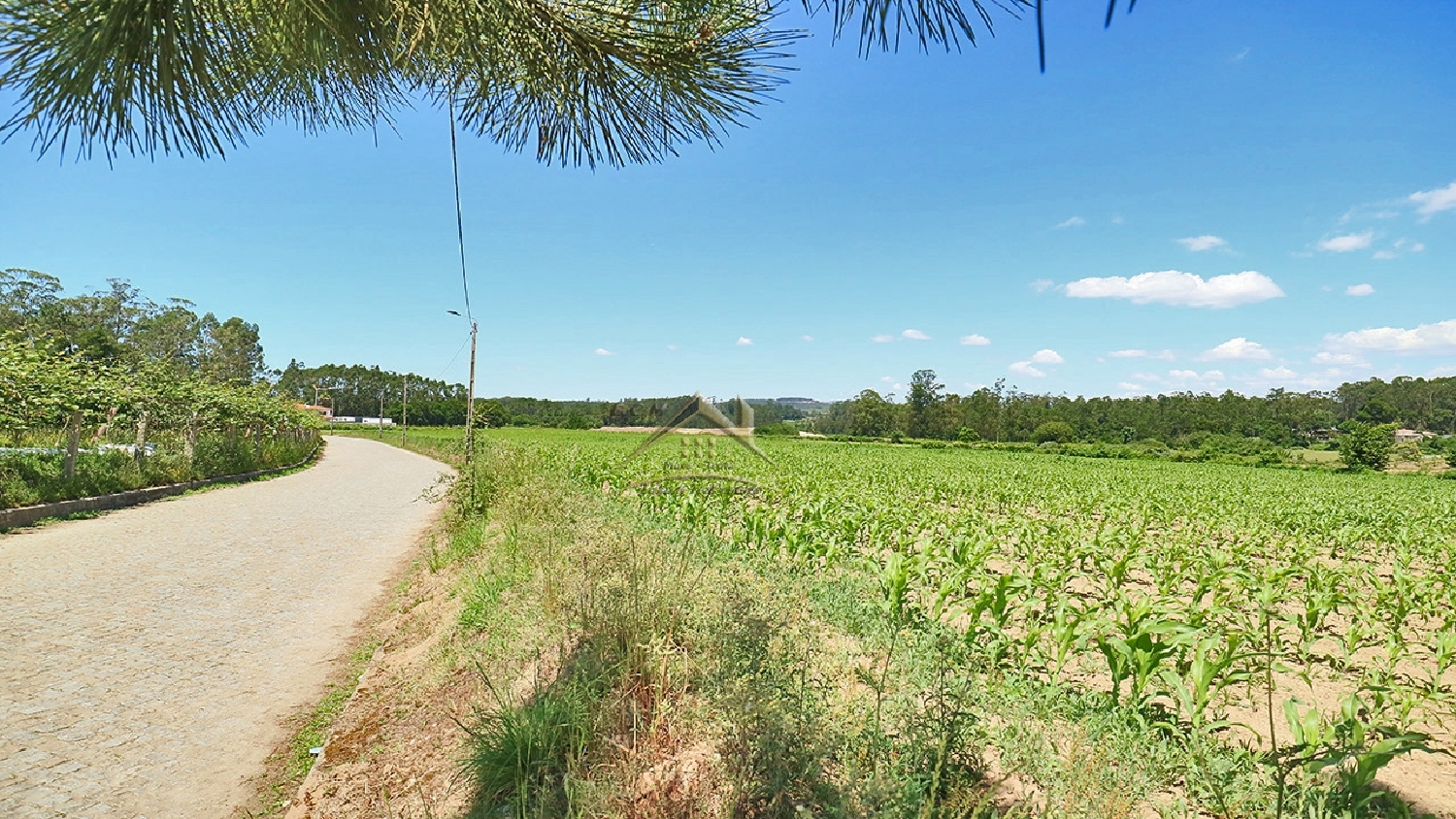  à venda terreno Macieira da Maia Vila Do Conde 5