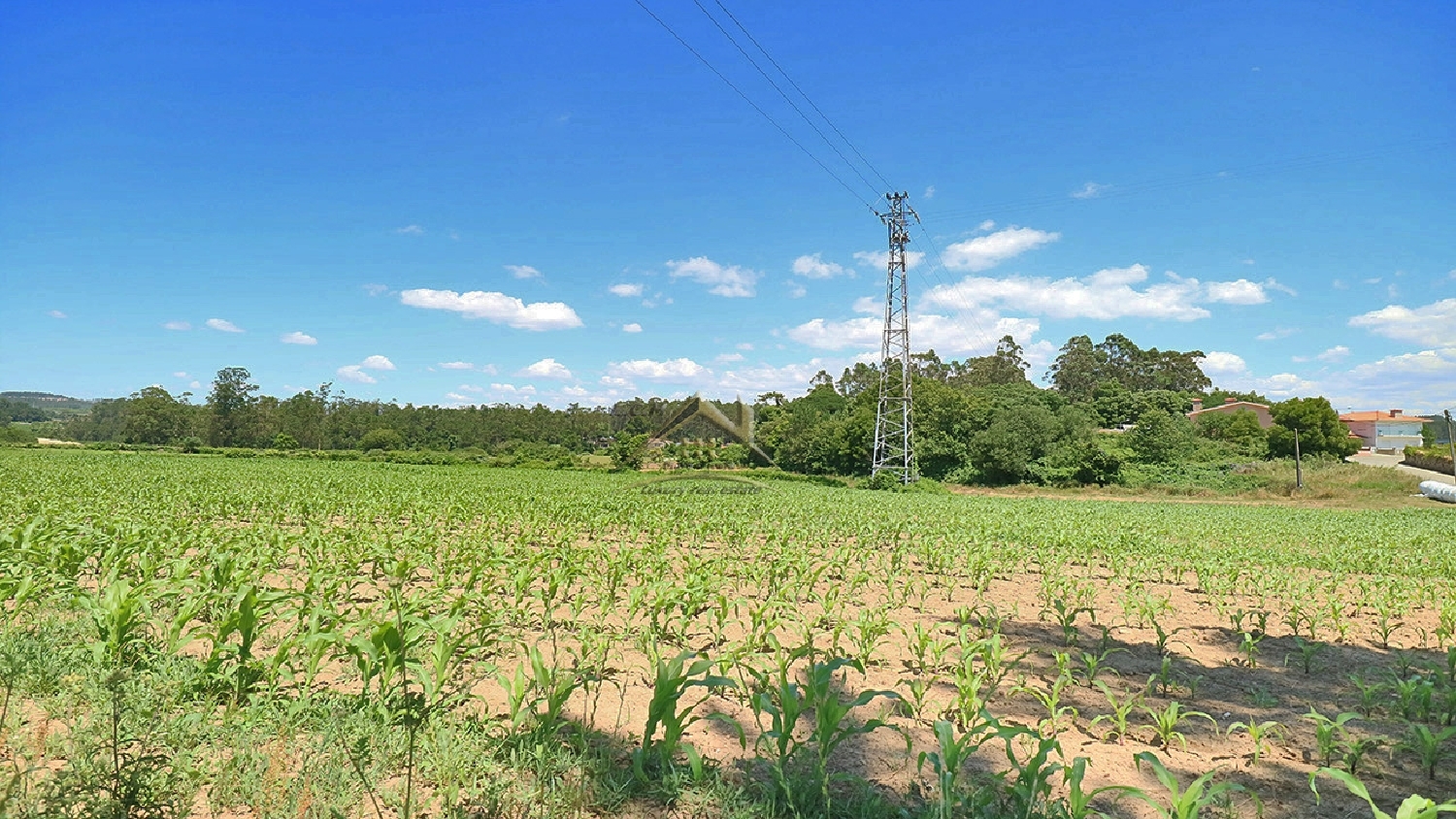  à venda terreno Macieira da Maia Vila Do Conde 6